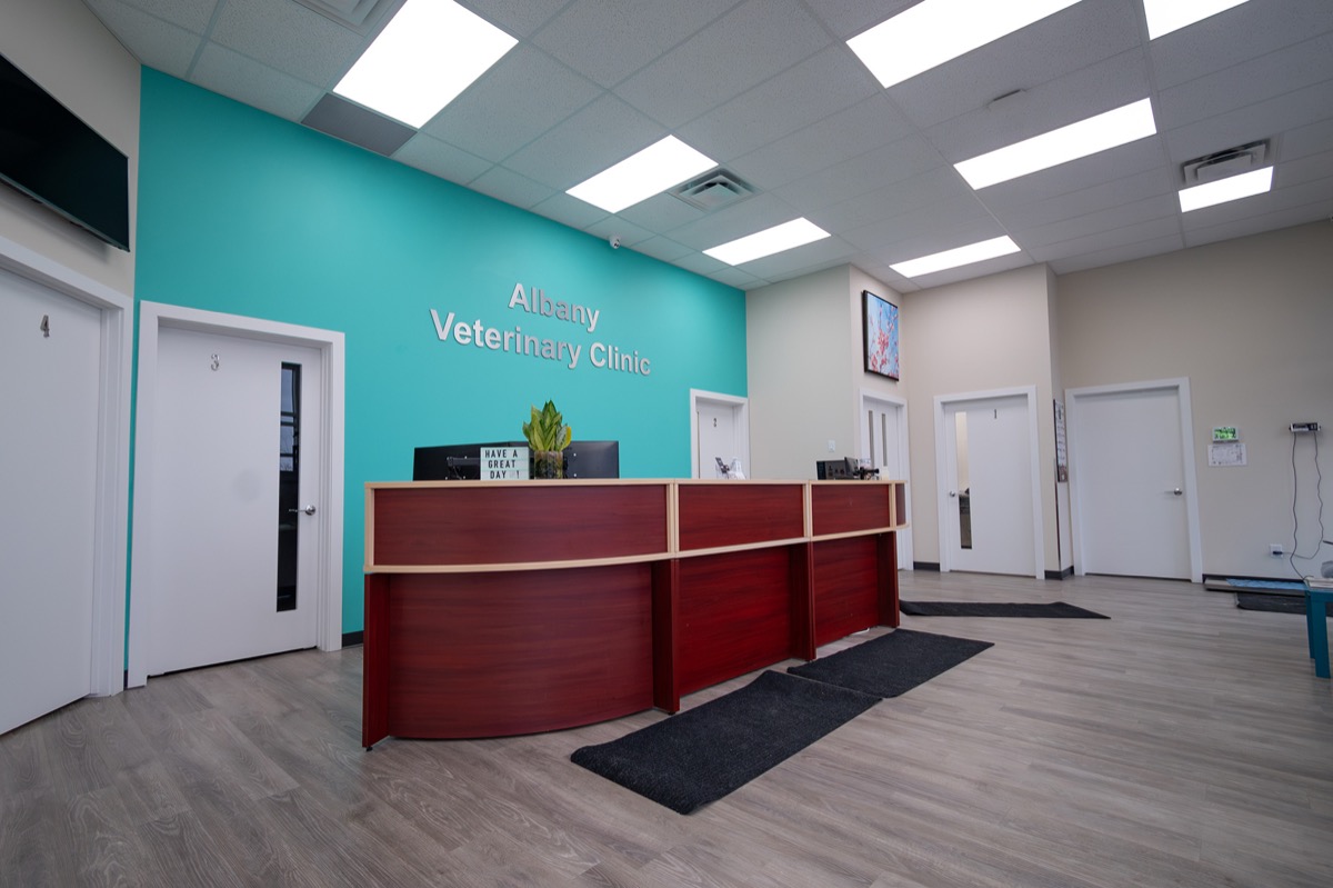 The Albany Veterinary Clinic support team